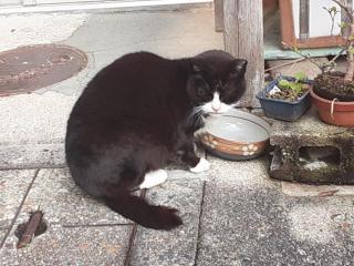 �摜(320x240)�E�g��摜(640x480)