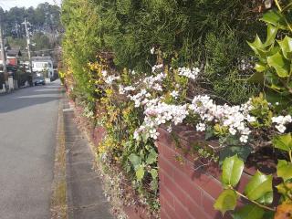 画像(320x240)・拡大画像(640x480)