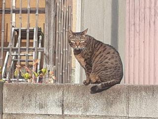 �摜(320x240)�E�g��摜(640x480)