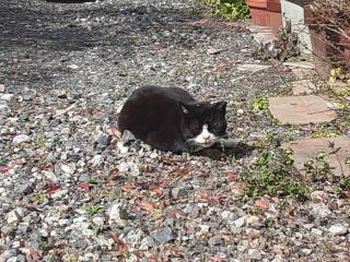 �摜(320x240)�E�g��摜(640x480)