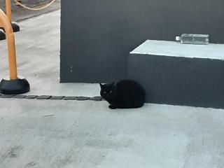 �摜(320x240)�E�g��摜(640x480)