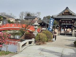 画像(320x240)・拡大画像(640x480)