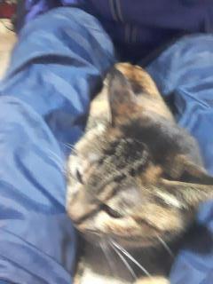 �摜(240x320)�E�g��摜(480x640)