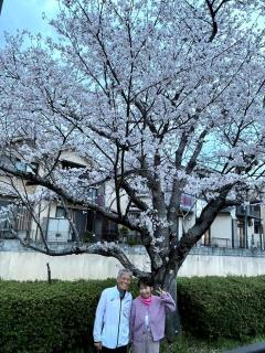 画像(240x320)・拡大画像(480x640)