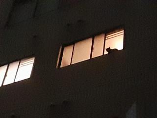 画像(320x240)・拡大画像(640x480)