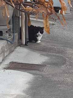 �摜(240x320)�E�g��摜(480x640)