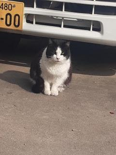 画像(240x320)・拡大画像(480x640)