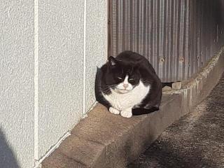 �摜(320x240)�E�g��摜(640x480)