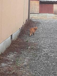 �摜(240x320)�E�g��摜(480x640)