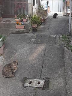 �摜(240x320)�E�g��摜(480x640)