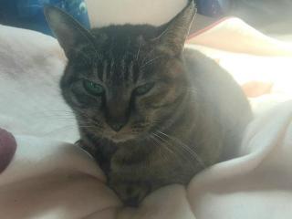 画像(320x240)・拡大画像(640x480)