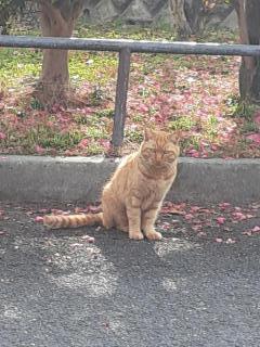 �摜(240x320)�E�g��摜(480x640)