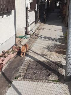 �摜(240x320)�E�g��摜(480x640)