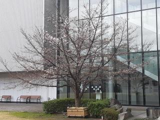 画像(320x240)・拡大画像(640x480)