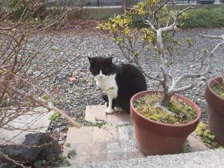 �摜(320x240)�E�g��摜(640x480)