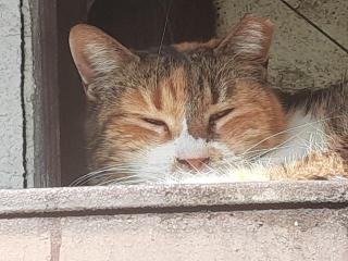 �摜(320x240)�E�g��摜(640x480)