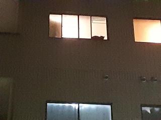 �摜(320x240)�E�g��摜(640x480)