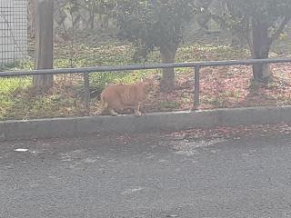 �摜(320x240)�E�g��摜(640x480)