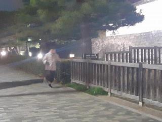 画像(320x240)・拡大画像(640x480)