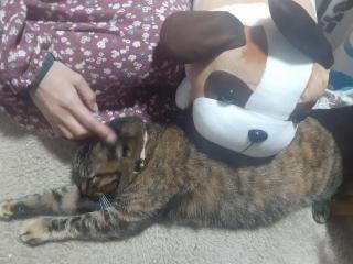 画像(320x240)・拡大画像(640x480)