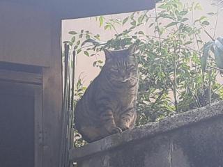 �摜(320x240)�E�g��摜(640x480)