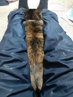 �摜(240x320)�E�g��摜(480x640)