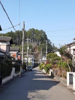 画像(240x320)・拡大画像(480x640)