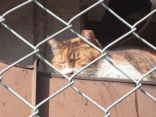 �摜(320x240)�E�g��摜(640x480)