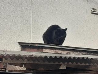 画像(320x240)・拡大画像(640x480)