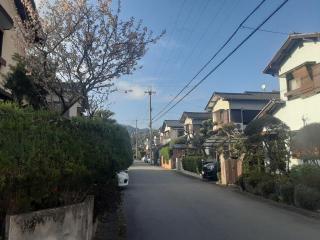 画像(320x240)・拡大画像(640x480)