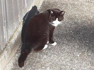 �摜(320x240)�E�g��摜(640x480)