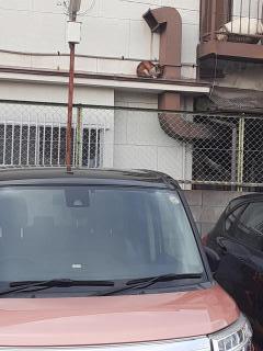 �摜(240x320)�E�g��摜(480x640)