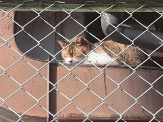 �摜(320x240)�E�g��摜(640x480)