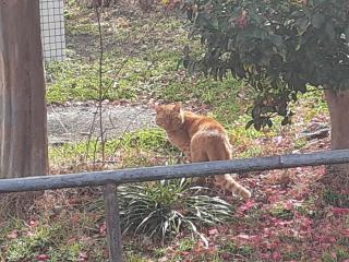 �摜(320x240)�E�g��摜(640x480)