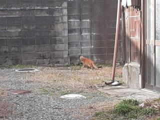 �摜(320x240)�E�g��摜(640x480)