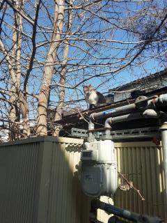 �摜(240x320)�E�g��摜(480x640)