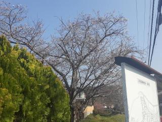 �摜(320x240)�E�g��摜(640x480)