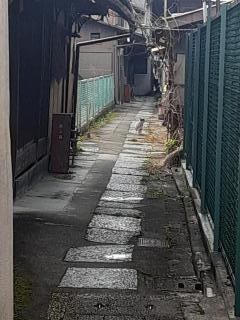 �摜(240x320)�E�g��摜(480x640)