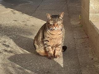 �摜(320x240)�E�g��摜(640x480)