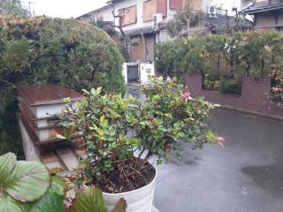 画像(320x240)・拡大画像(640x480)