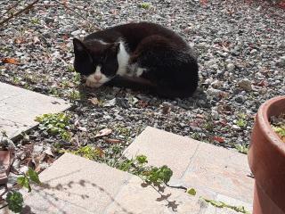 �摜(320x240)�E�g��摜(640x480)