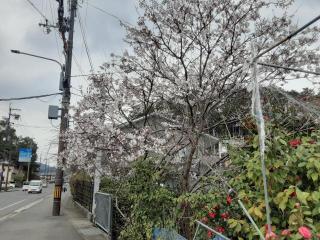 画像(320x240)・拡大画像(640x480)