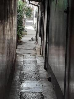 �摜(240x320)�E�g��摜(480x640)