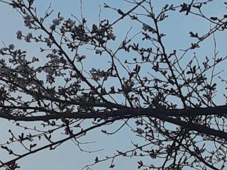 �摜(320x240)�E�g��摜(640x480)