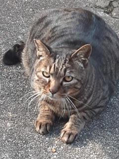 �摜(240x320)�E�g��摜(480x640)