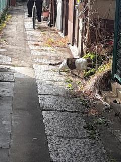 �摜(240x320)�E�g��摜(480x640)