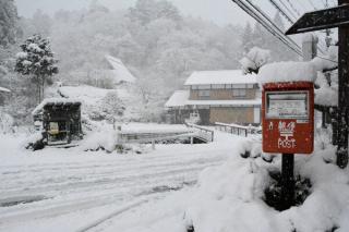 �摜(320x213)�E�g��摜(600x400)