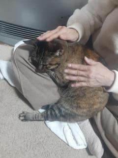 画像(240x320)・拡大画像(480x640)