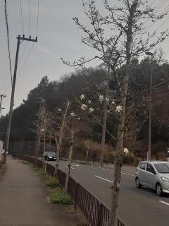 �摜(240x320)�E�g��摜(480x640)