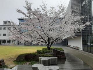 画像(320x240)・拡大画像(640x480)